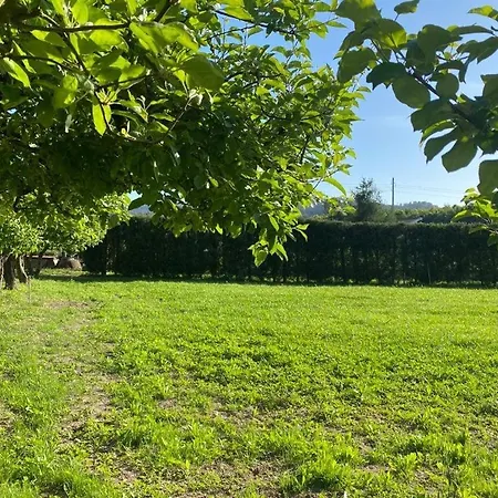 Pomar e campo interiores à quinta, com árvores de fruto